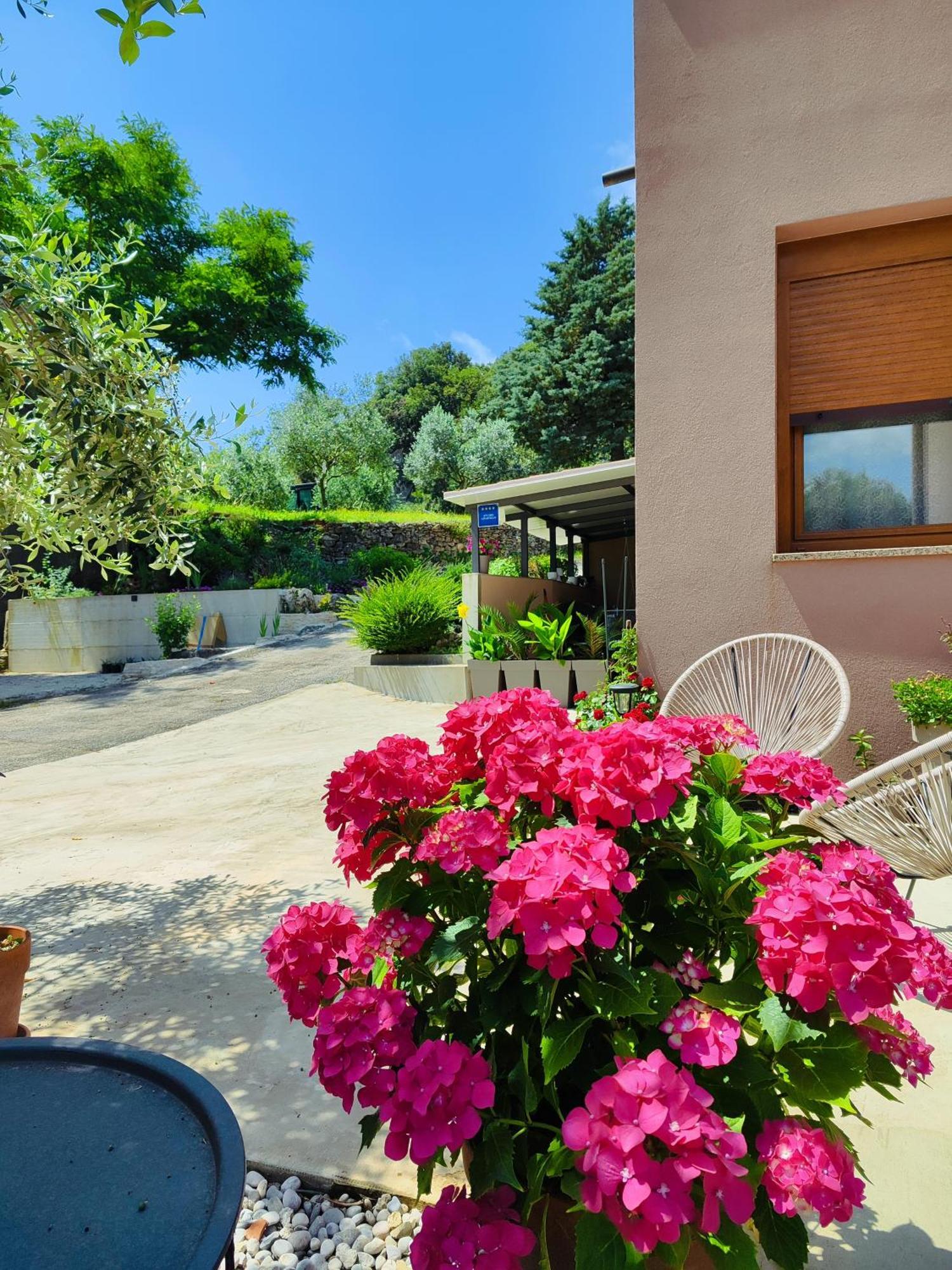 Cave With Free Parking Apartment Pula Exterior photo